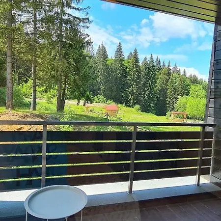 Fabulous Views Silver Mountain 3 Rooms Apartment Poiana Brasov Exterior photo